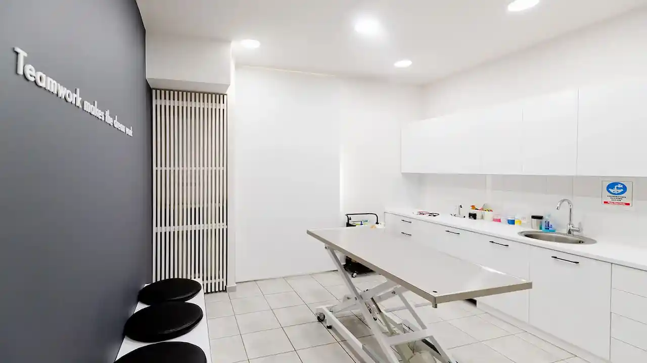 LarissaVet - Veterinary Clinic - Project by WorkRoom W - Architecture & Design 