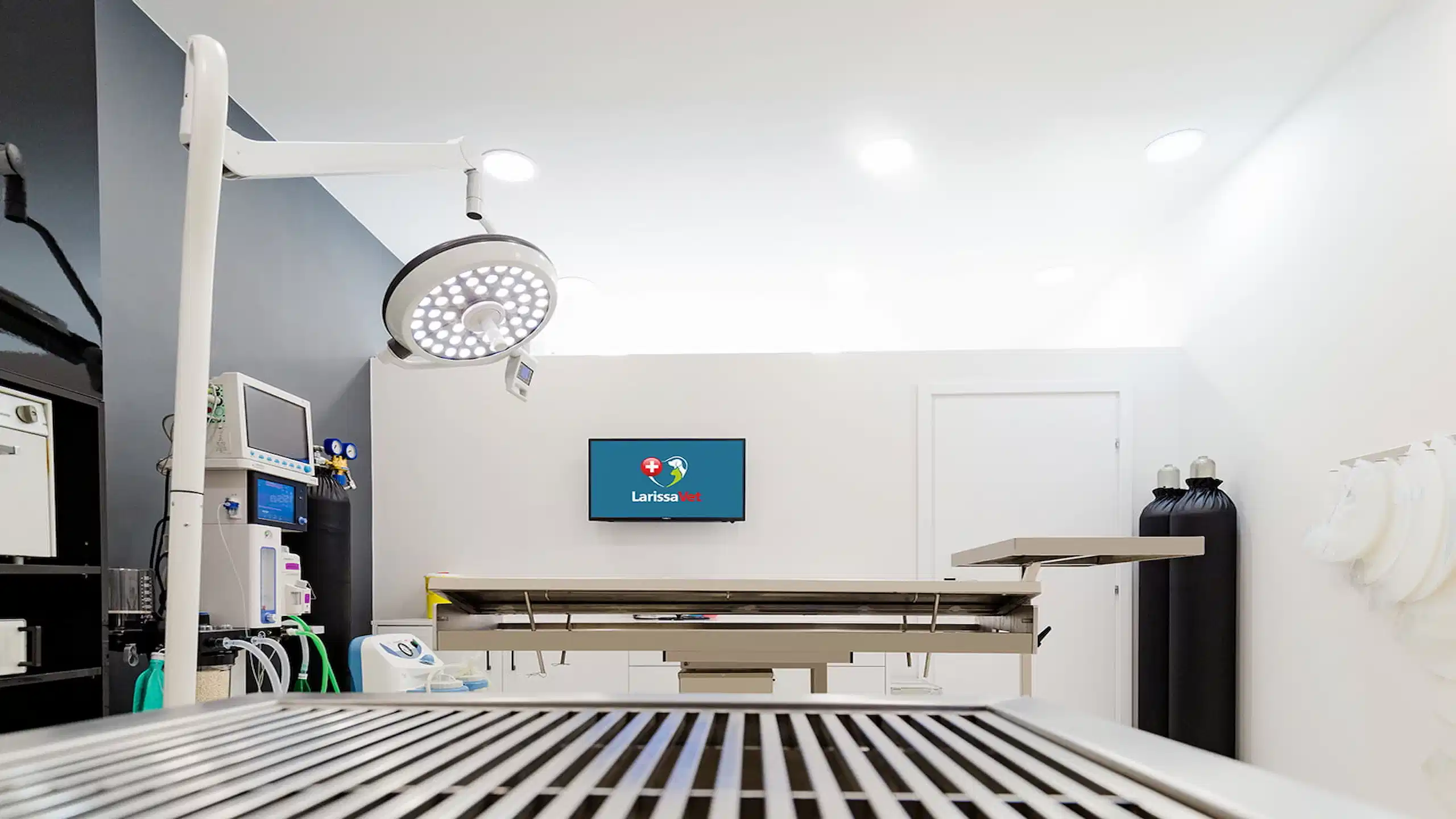 LarissaVet - Veterinary Clinic - Project by WorkRoom W - Architecture & Design