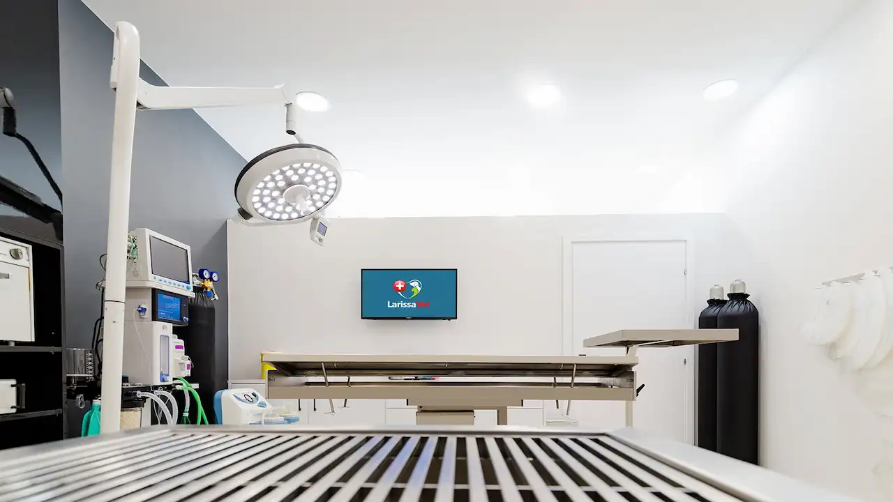 LarissaVet - Veterinary Clinic - Project by WorkRoom W - Architecture & Design