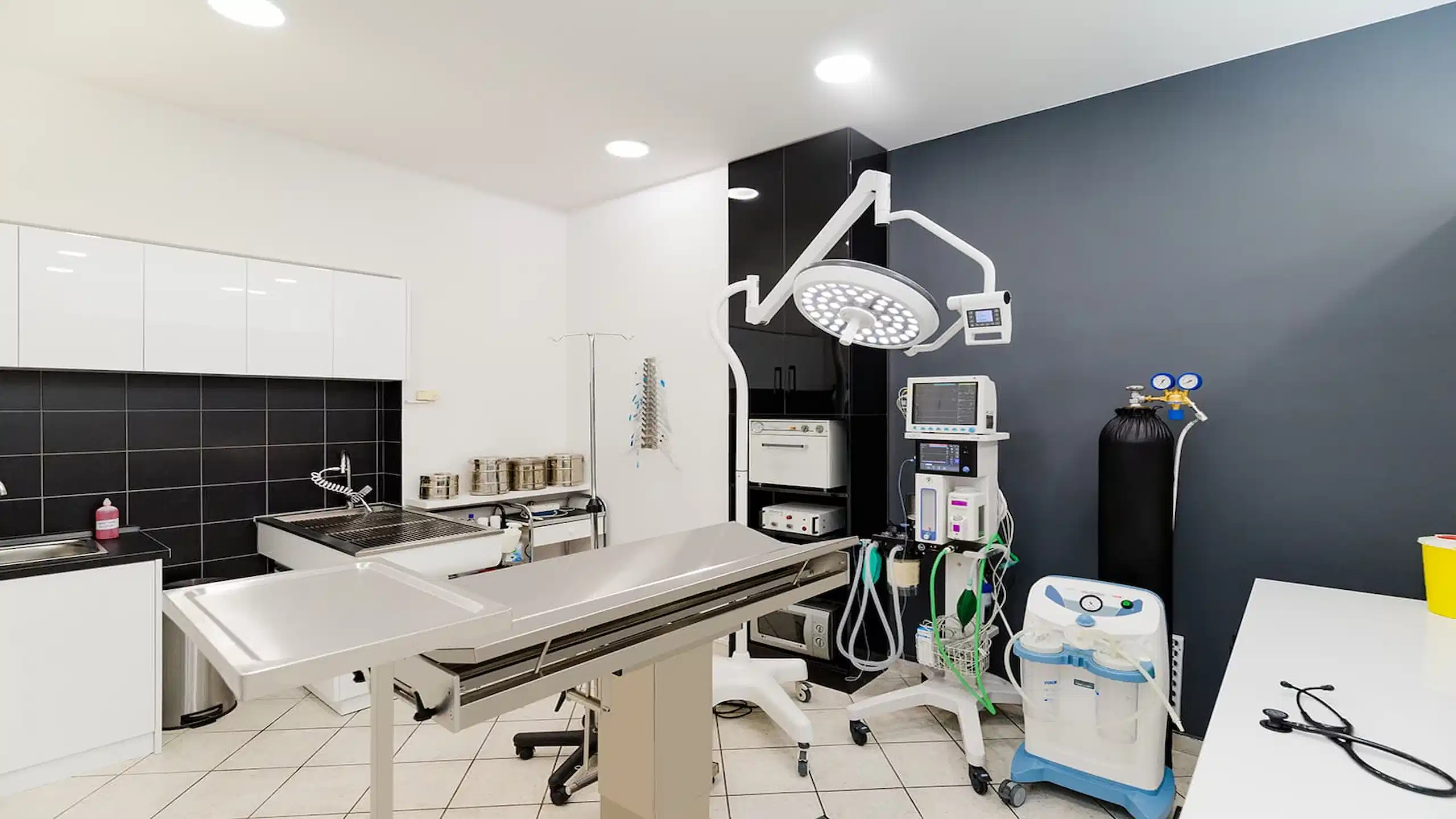 LarissaVet - Veterinary Clinic - Project by WorkRoom W - Architecture & Design 