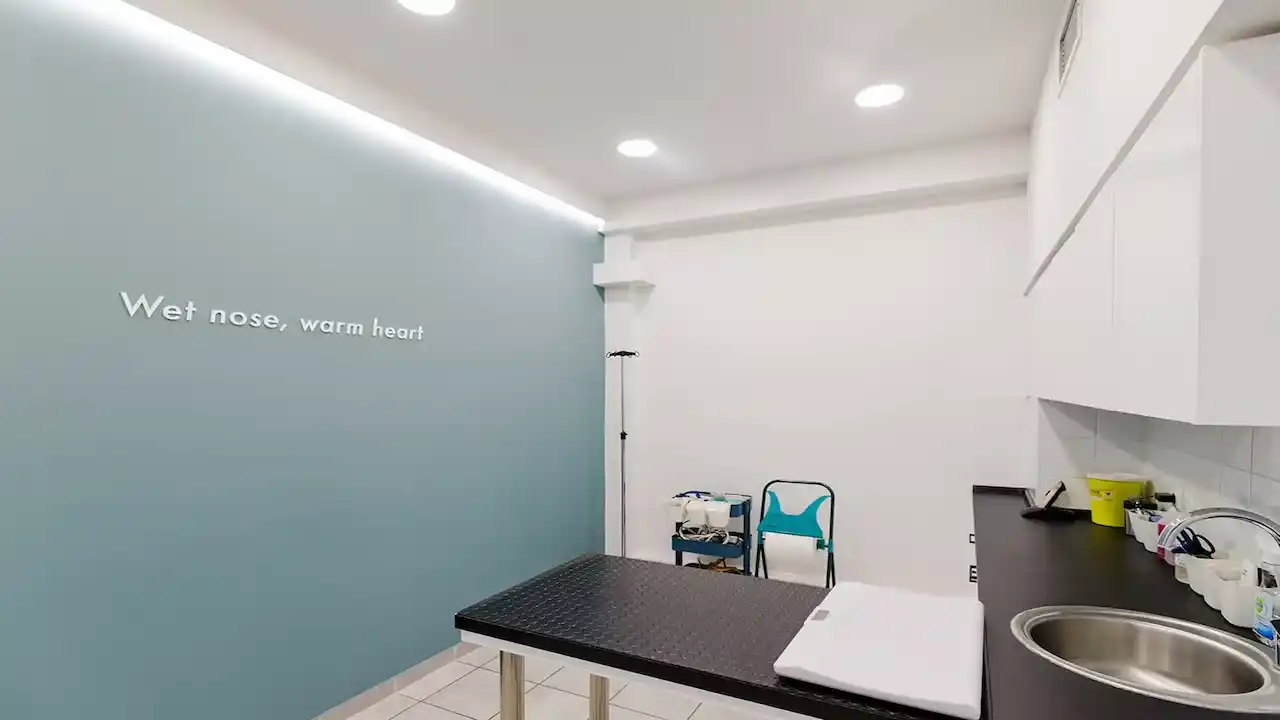 LarissaVet - Veterinary Clinic - Project by WorkRoom W - Architecture & Design 